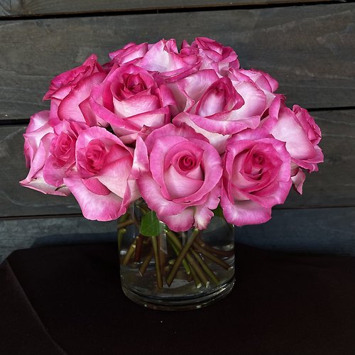 Contemporary Hot Pink Roses