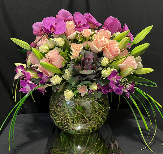 Enchanted Orchids