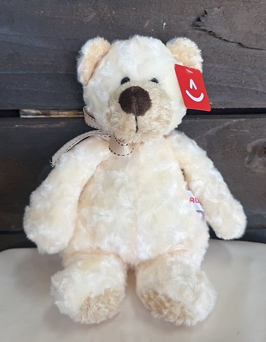 Small Teddy - Polar Bear
