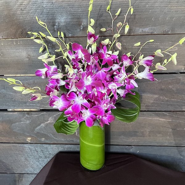 Orchid Embrace&trade;