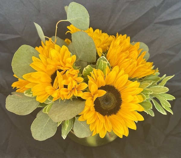 Sunny Sunflowers