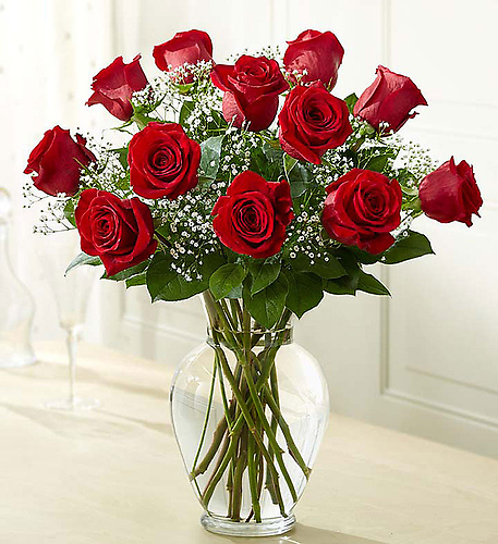 Rose Elegance&trade; Premium Long Stem Red Roses