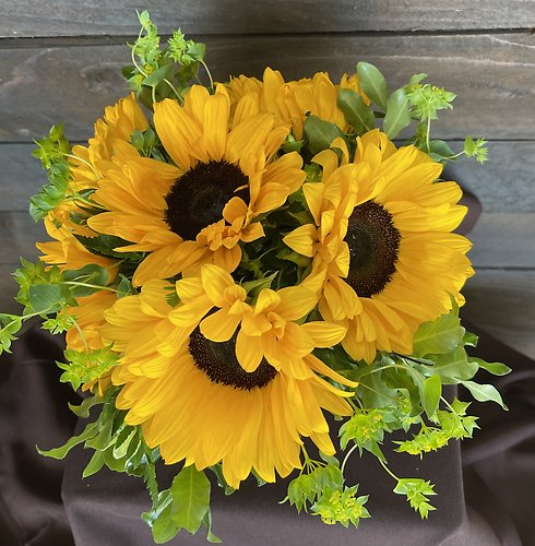 Sunny Sunflowers