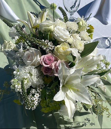 Timeless Ivory