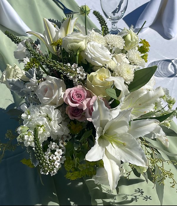 Timeless Ivory
