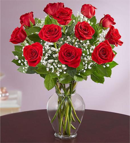 Rose Elegance Premium Long Stem Red Roses