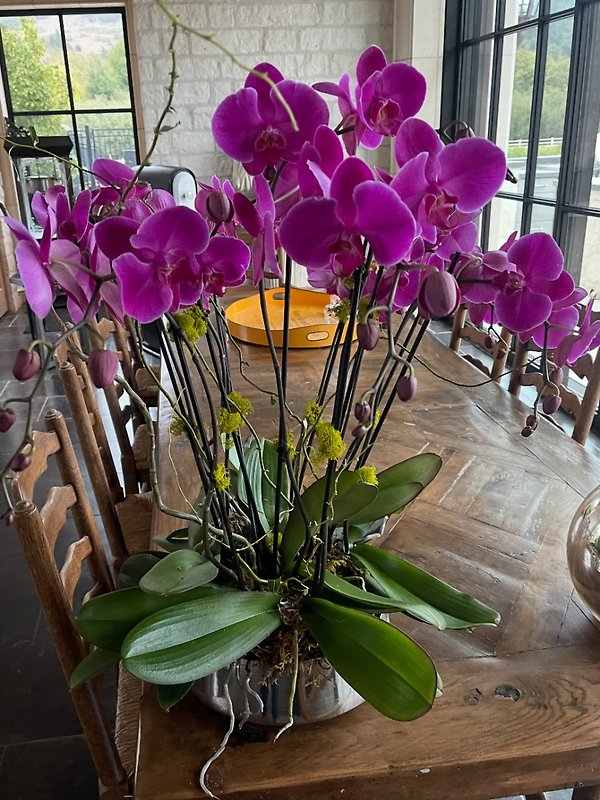 Real Touch Purple Orchid