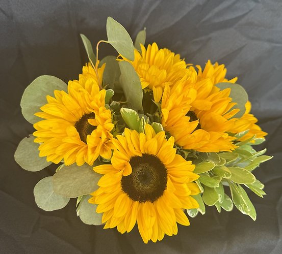 Sunny Sunflowers