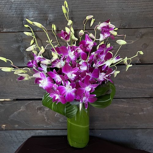 Orchid Embrace&trade;