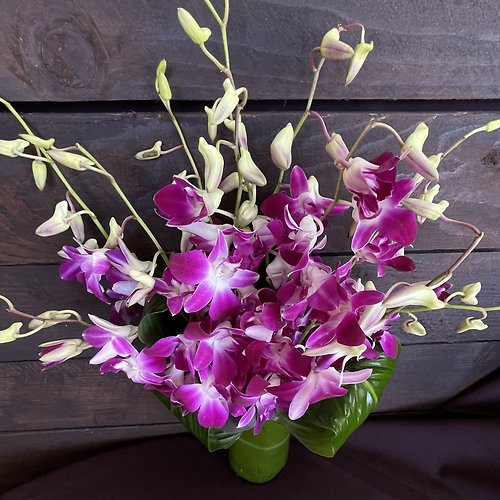 Orchid Embrace&trade;