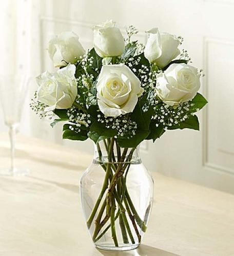 Love&#039;s Embrace&trade; Roses &ndash; White