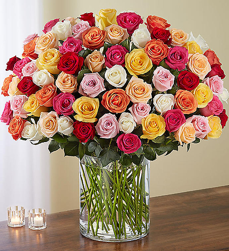 100 Premium Long Stem Multicolored Roses